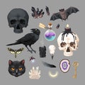 Vector high detailed black magic supplies set