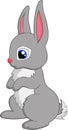 Vector high quality cute and interesting rabbit animation