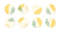 Vector highlight story cover icons for instagram. Abstract circle organic yellow backgrounds with palm leaves