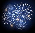 Vector holiday firework Royalty Free Stock Photo