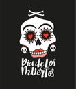 Vector holiday illustration for Day of the dead or Halloween. Hand drawn card or print design - Dia de los muertos Royalty Free Stock Photo