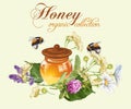 Vector honey banner