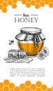 Vector honey bee hand drawn illustrations. Honey banner, poster