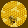 Vector honey round label design. Honeycombs texture background.