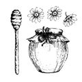 Vector honey set. Vintage hand drawn illustration. Engraved organic food Royalty Free Stock Photo