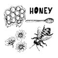 Vector honey set. Vintage hand drawn illustration. Engraved organic food Royalty Free Stock Photo