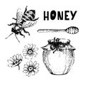 Vector honey set. Vintage hand drawn illustration. Engraved organic food Royalty Free Stock Photo