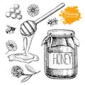 Vector honey set. Vintage hand drawn illustration. Royalty Free Stock Photo