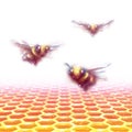 Vector honeycomb background with three bees