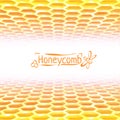 Vector honeycomb background from yellow to white