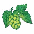 Vector Hops Icon