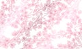 Vector horizontal background with line art sakura branch with flowers. Hand drawn illustration of romantic sakura cherry blossom