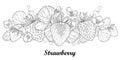 Vector horizontal border with outline Strawberry with berry, flower and foliage in black on white. Berry elements.