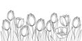 Vector horizontal border with outline tulip flowers, bud and ornate leaves in black isolated on white background. Royalty Free Stock Photo