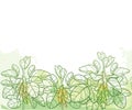 Vector horizontal bunch with outline Soybean or Soy bean with pods and ornate leaf in pastel green on the textured background. Royalty Free Stock Photo