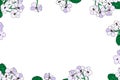 Vector horizontal rectangular frame ÃÂartoon, bouquet Violets indoor flowers outline, on white background, outline hand drawn,