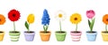 Colorful spring flowers in pots. Vector horizontal seamless background. Royalty Free Stock Photo