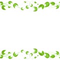 Vector horizontal seamless border with green ivy leaves on white background Royalty Free Stock Photo