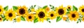 Horizontal seamless border with yellow sunflowers. Vector illustration. Royalty Free Stock Photo