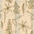 Grunge textured botanical elements on pattern. Hand drawn line leaves branches and blooming. Wedding elegant wildflowers