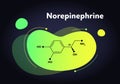 Vector hormones fluid moedrn banner. Norepinephrine structure in liquid gradient trendy shape on black. Hormone associated with