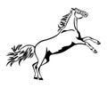 Vector horse silhouette drawing Royalty Free Stock Photo