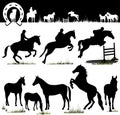 Vector Horse silhouettes Royalty Free Stock Photo