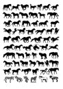 Vector horse silhouettes Royalty Free Stock Photo