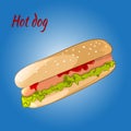 Vector Hot Dog illustration Royalty Free Stock Photo