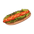 Vector hotdog with mustard. Illustration vector. icon isolated on white.