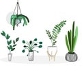 Vector house plants collection or set. Scandy elements. Green corner.