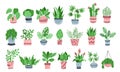 Vector HousePlants Set