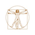 Human body of vitruvian man