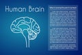 Vector Human Brain Blue Background Royalty Free Stock Photo