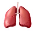 Vector human lungs anatomy structure 3d icon Royalty Free Stock Photo