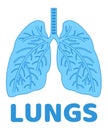 Vector human lungs flat icon