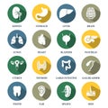 Vector human organs icons set.Vector symbols. Vector illustration Royalty Free Stock Photo