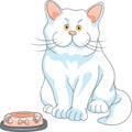 Vector hungry cute white cat with empty bowl