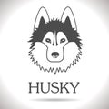 Vector HUSKY