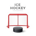 Vector ice hockey goal with net 3d puck Royalty Free Stock Photo