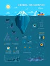 Vector iceberg infographic