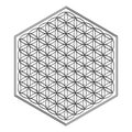 icon with ancient symbol flower of life for your design