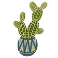 Vector icon of a cactus in a pot. Isolated image of an indoor flower on a white background. Green cactus with thorns in a ceramic Royalty Free Stock Photo