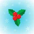 Vector Christmas star plant in flat style with snowflake on winter background Royalty Free Stock Photo