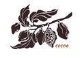 Vector icon of cocoa tree branch Royalty Free Stock Photo