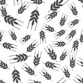 Vector icon ears of wheat, cereal. Ear of oats. Rue ears seamless pattern on a white background