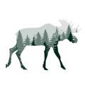 Vector Icon elk sign. Image deer symbol sticker. Illustration animal wild nature deer sign in flat style. Image deer