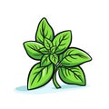 Vector icon of a fresh sprig of basil on a clean white background Royalty Free Stock Photo