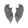 Vector icon of gorgeous bird or angel wings with gray feathers and black contour. Tattoo artwork. Design for print