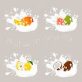 Vector illustration for set fruits Royalty Free Stock Photo